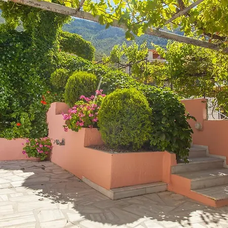 Tasoula & Apartment